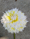 Lemon Snow